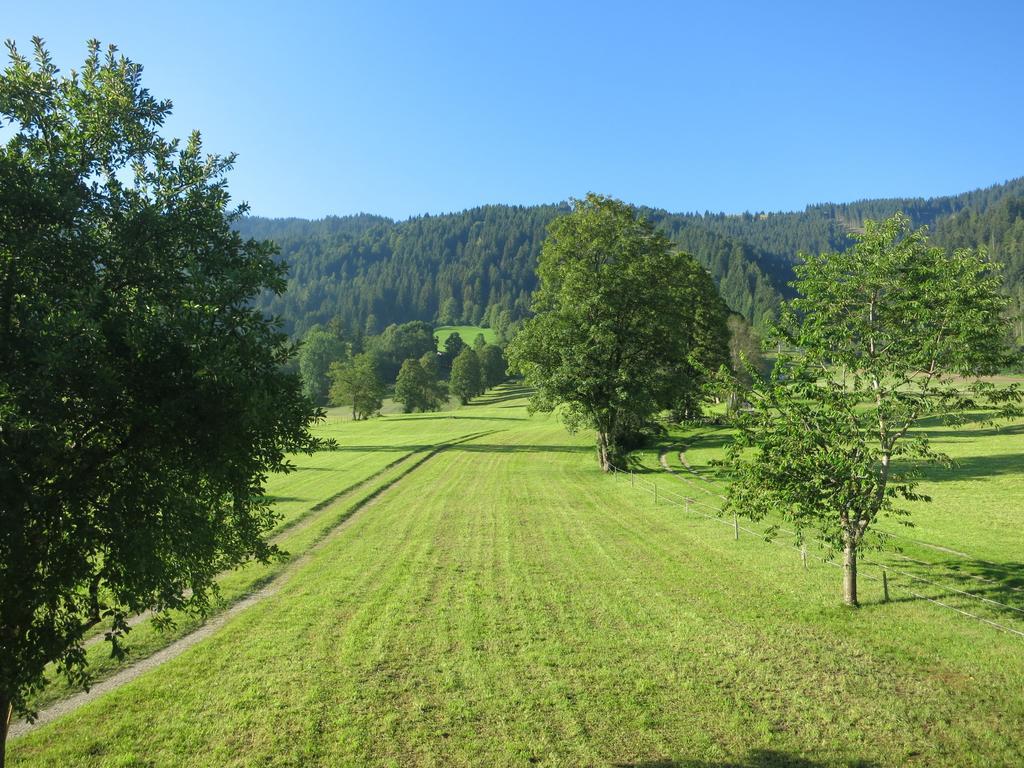 Ferienwohnungen Marchanger Niederau Kültér fotó